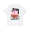 stussy t-shirt